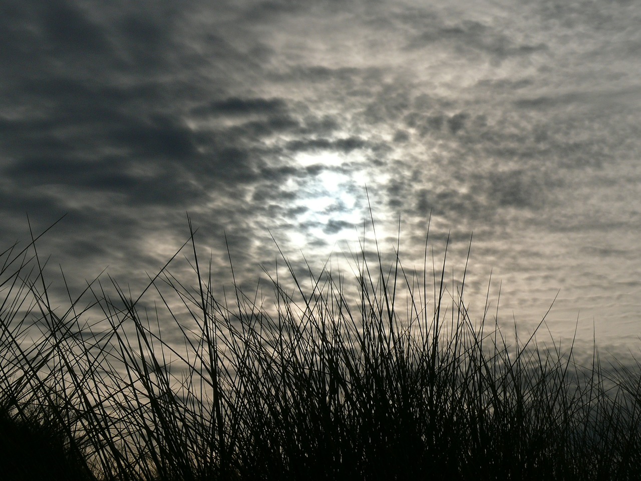 seaside sky moon free photo