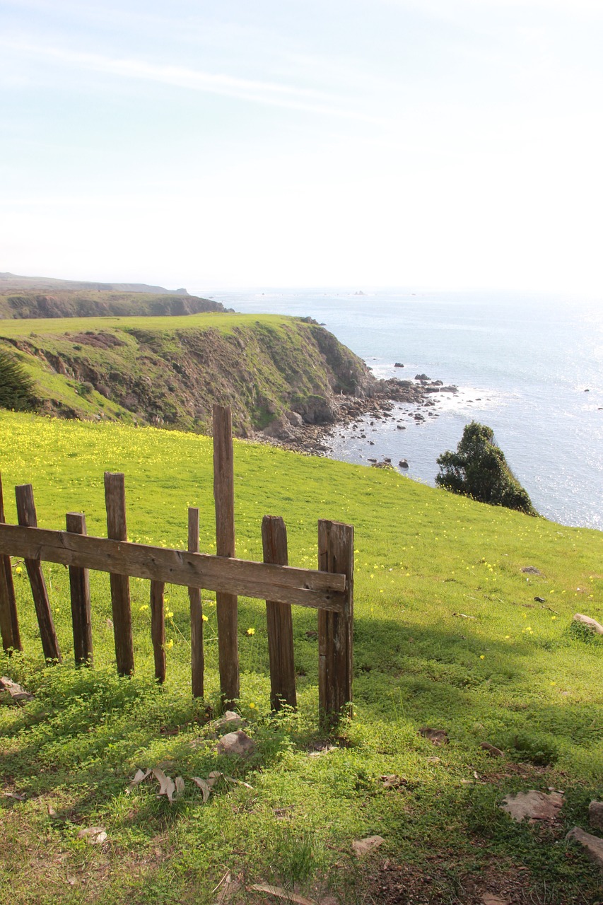 seaside coastline water free photo