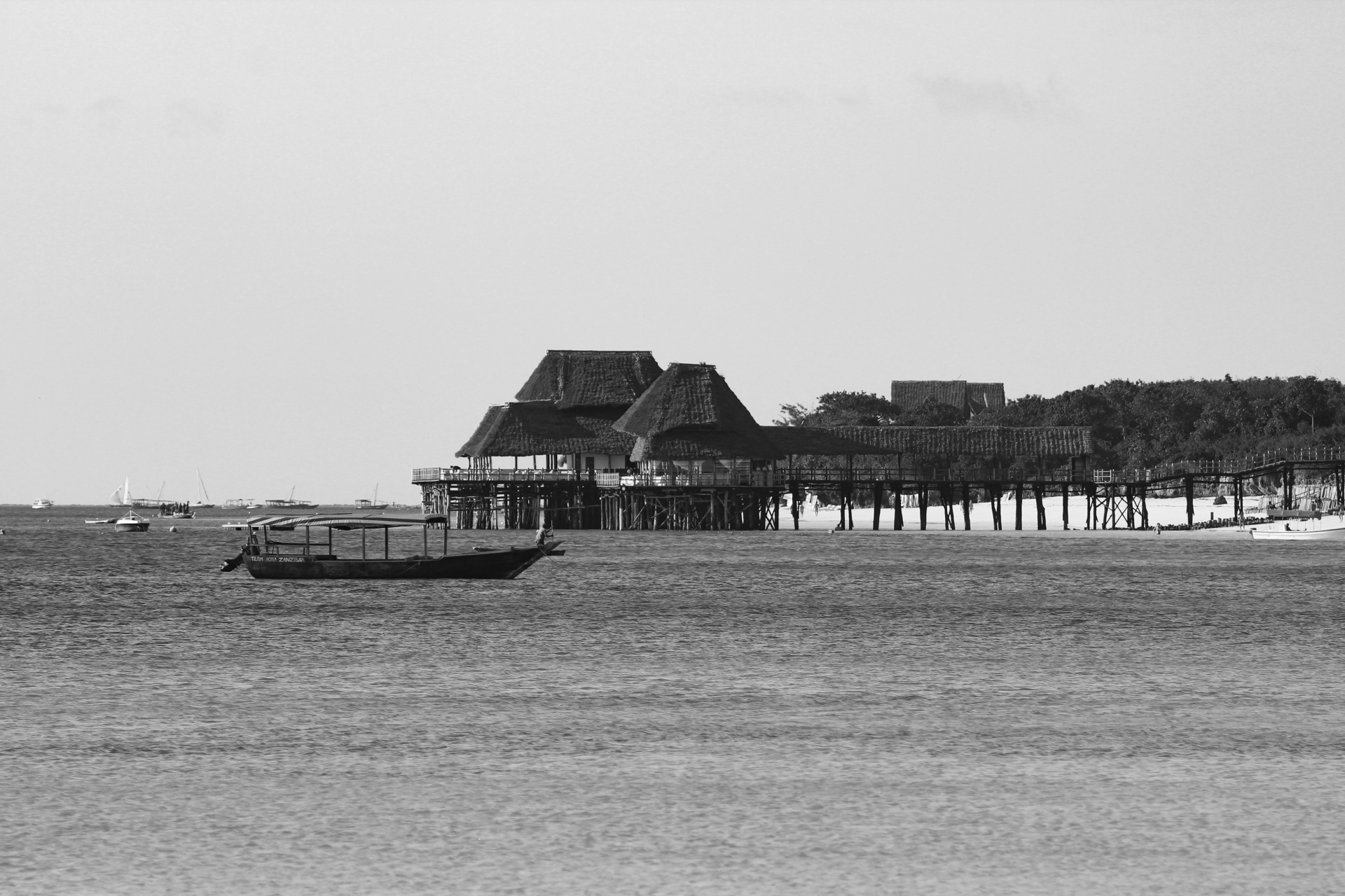 zanzibar beach island free photo