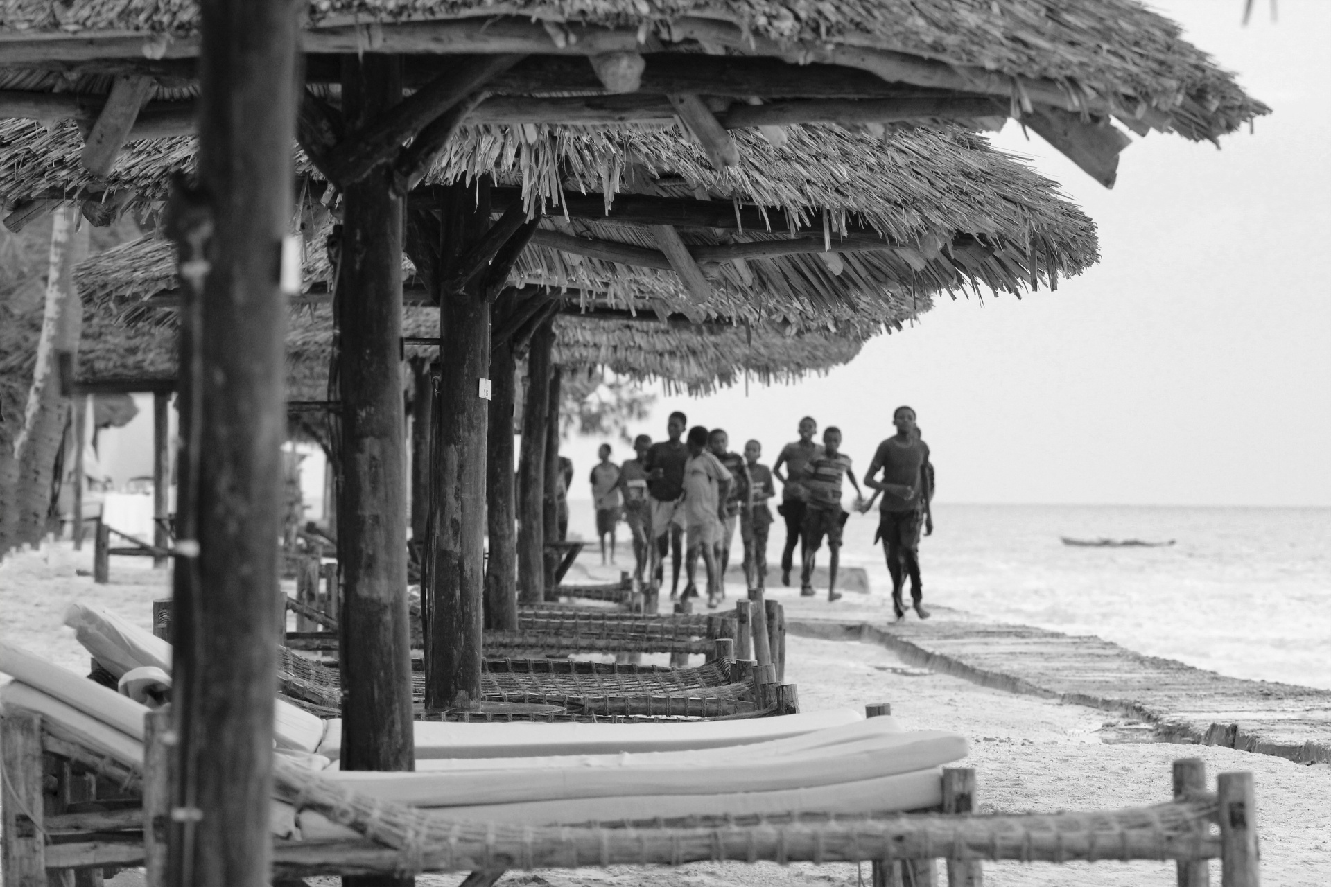 zanzibar beach island free photo