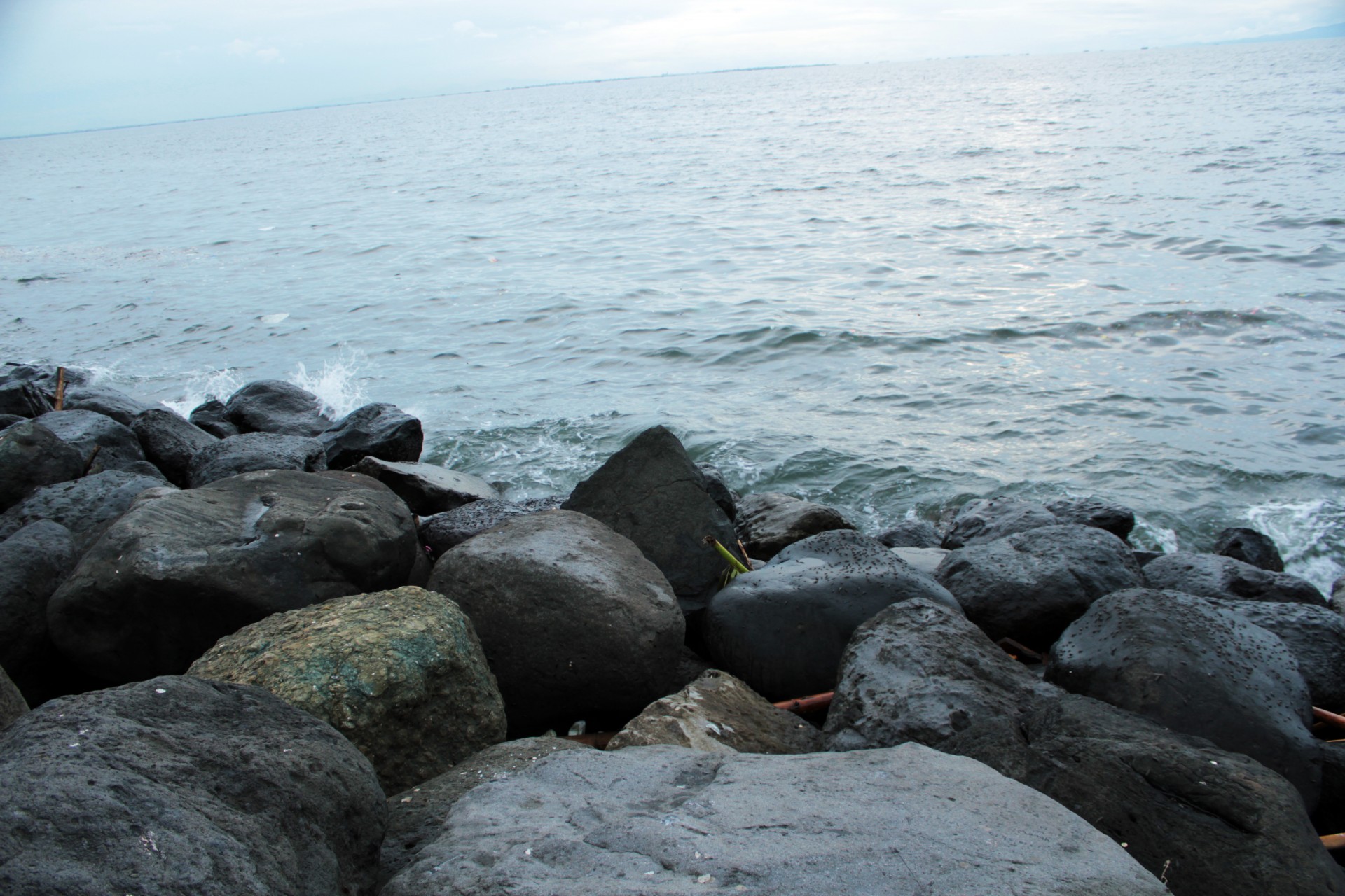 seaside stones stones rocks free photo