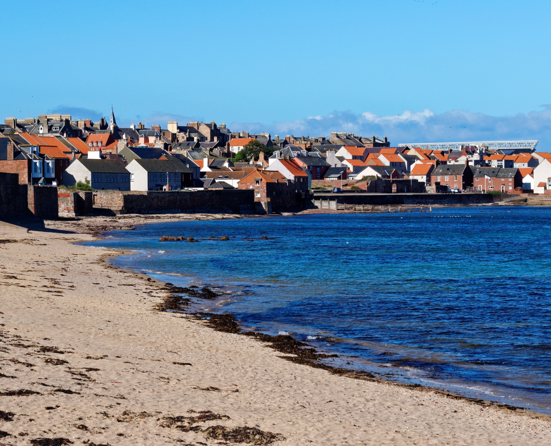 seaside town shore free photo