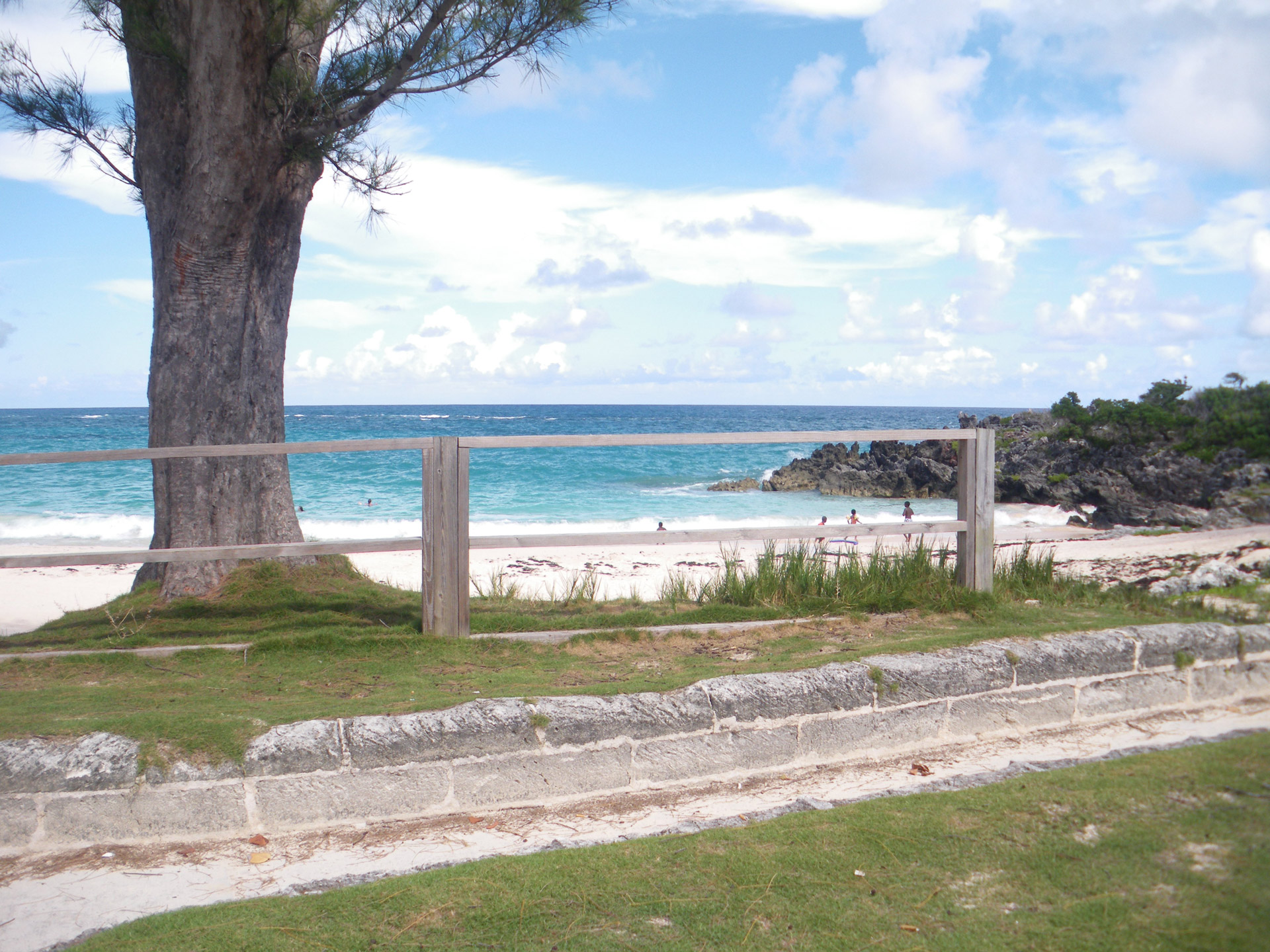 seaside beach fence free photo