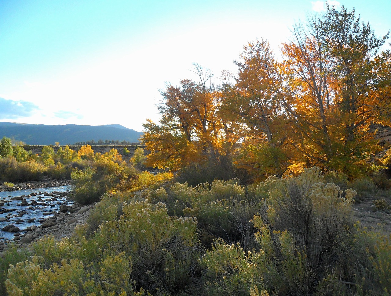 season fall color free photo