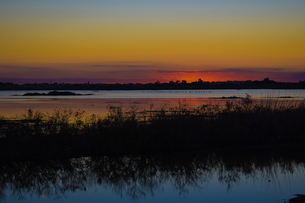 seasonal lake wetland sunset free photo