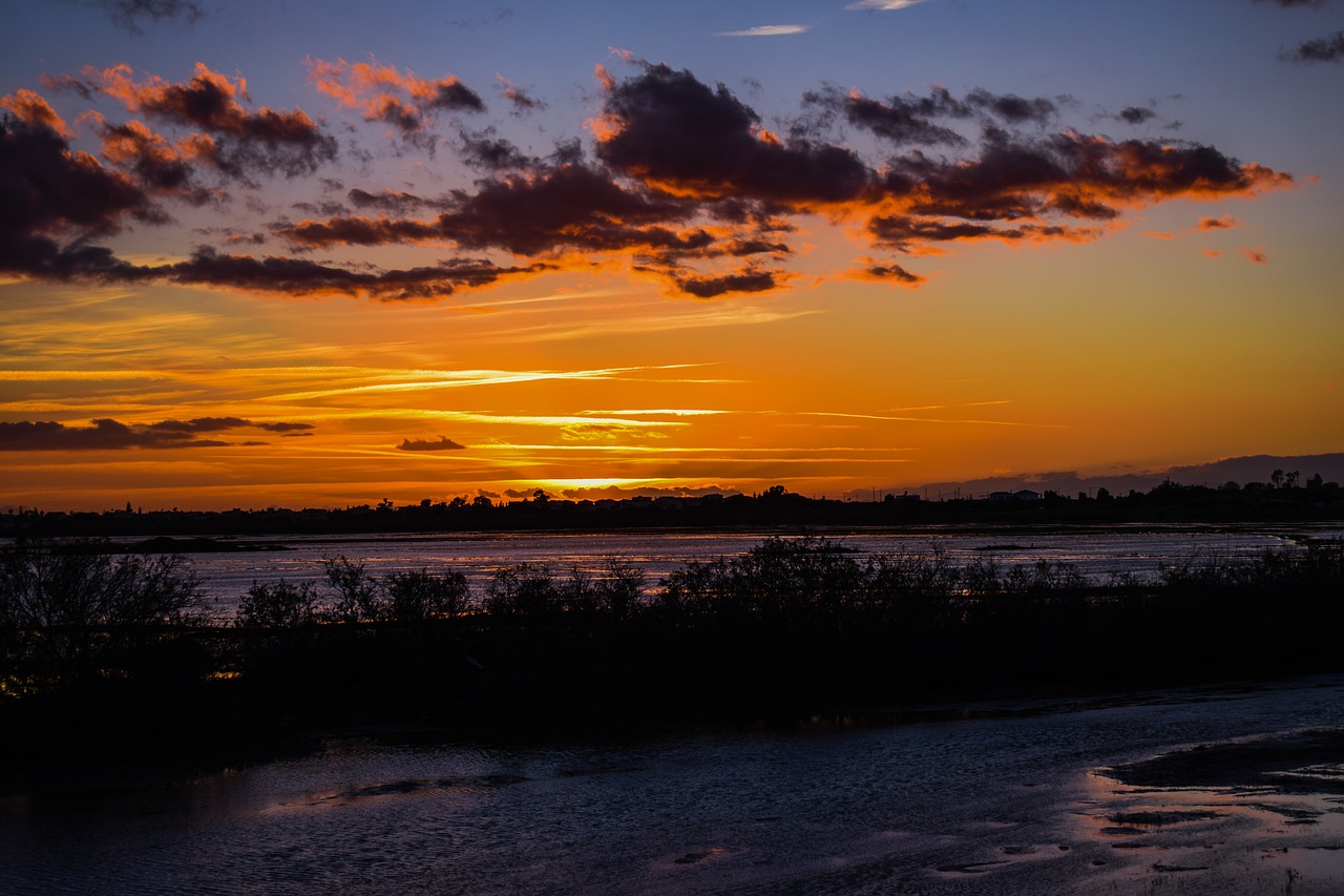 seasonal lake wetland sunset free photo