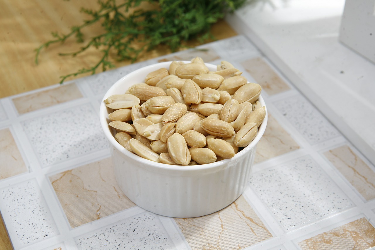 seasoned peanuts peanut free pictures free photo