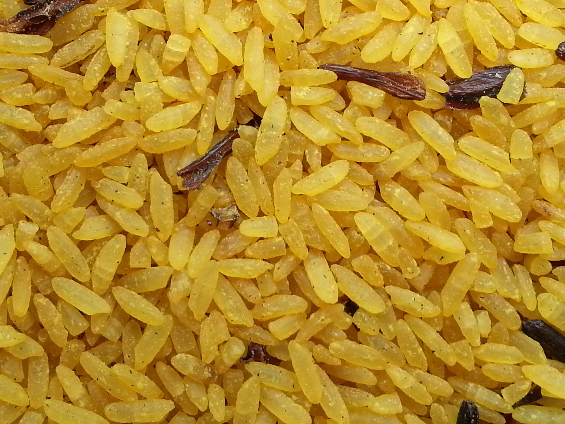 rice food seasoning free photo