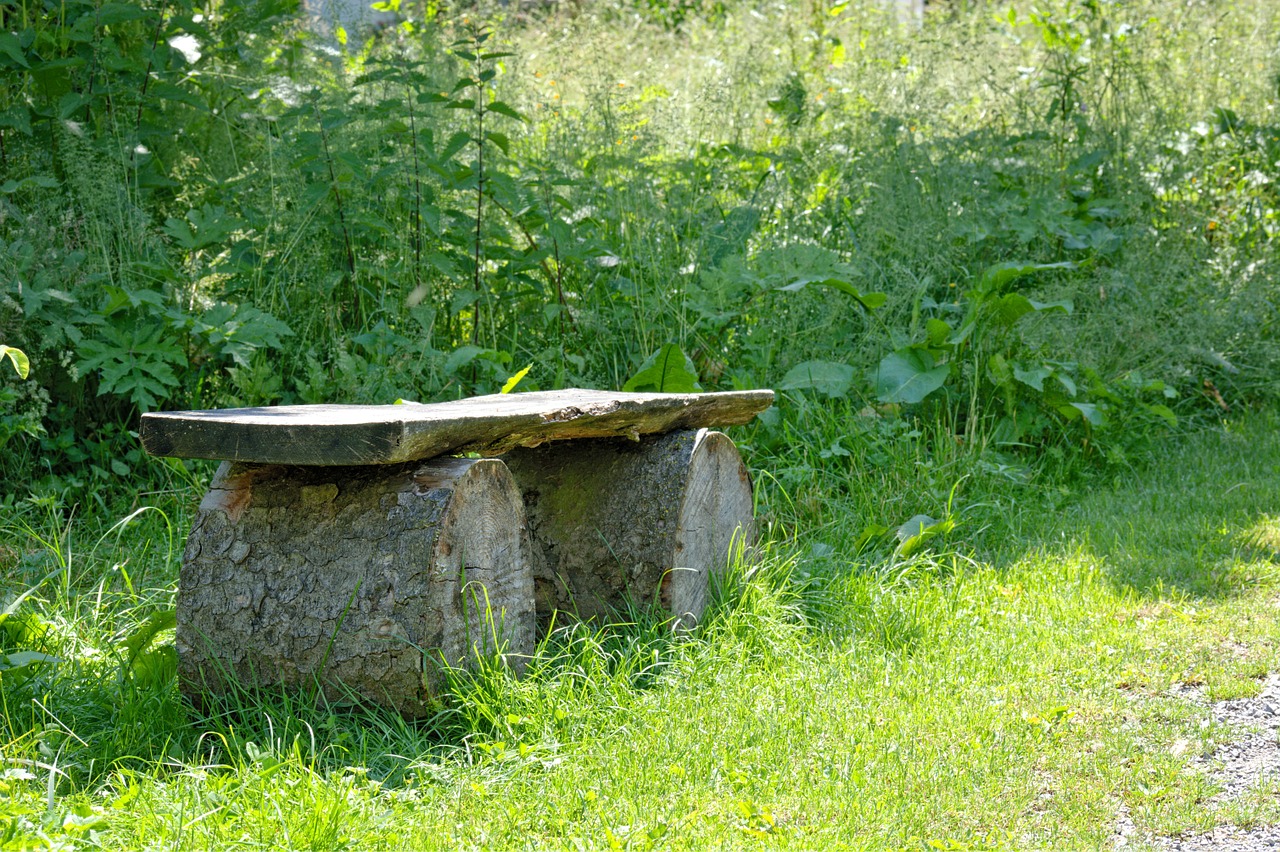 seat wooden bench nature free photo