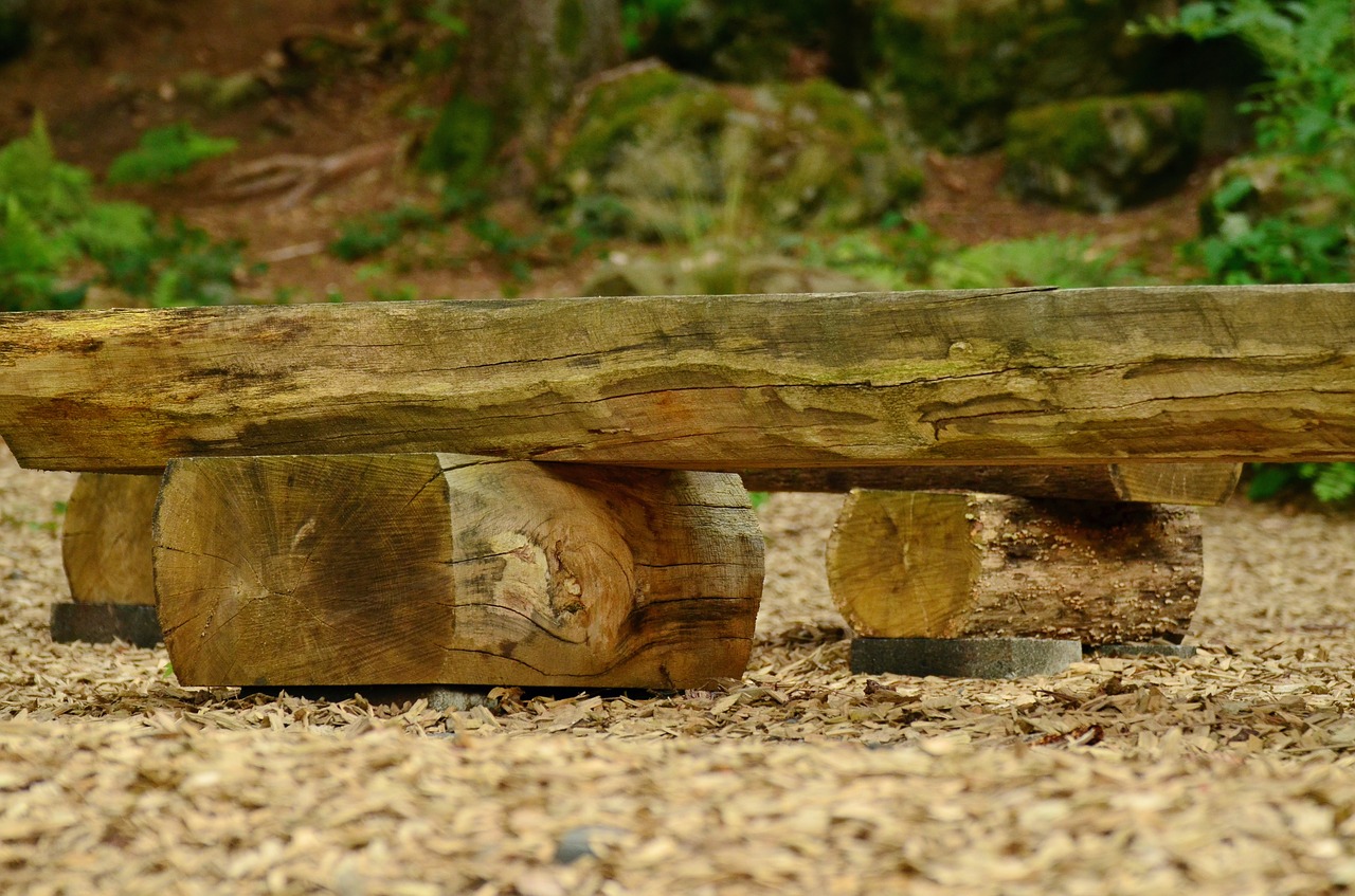 seat wooden bench forest free photo