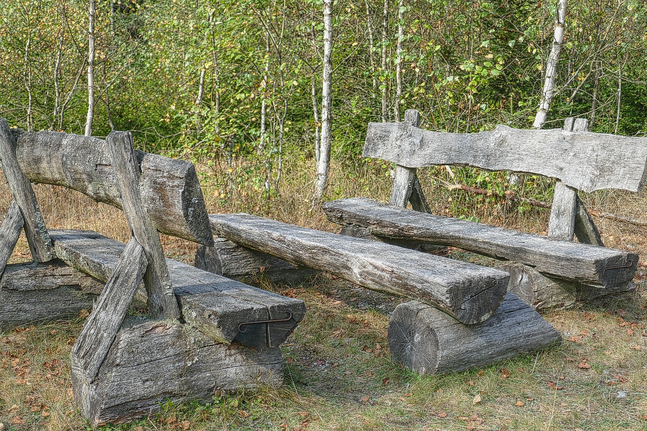 seat benches wood free photo