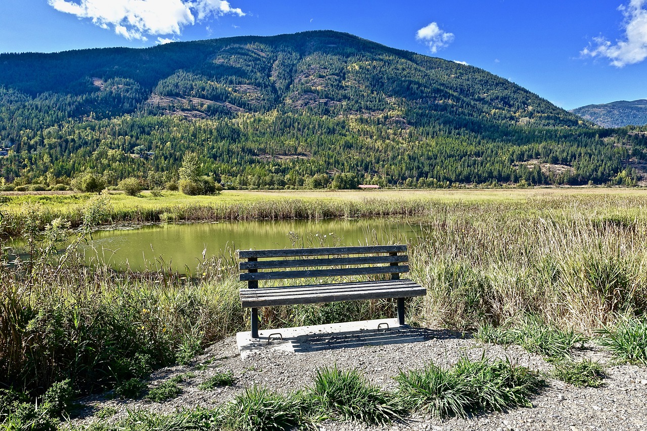 seat bench wooden free photo