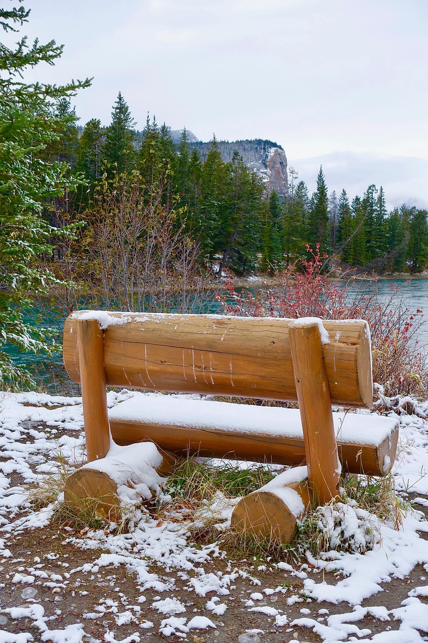 seat snow wooden free photo