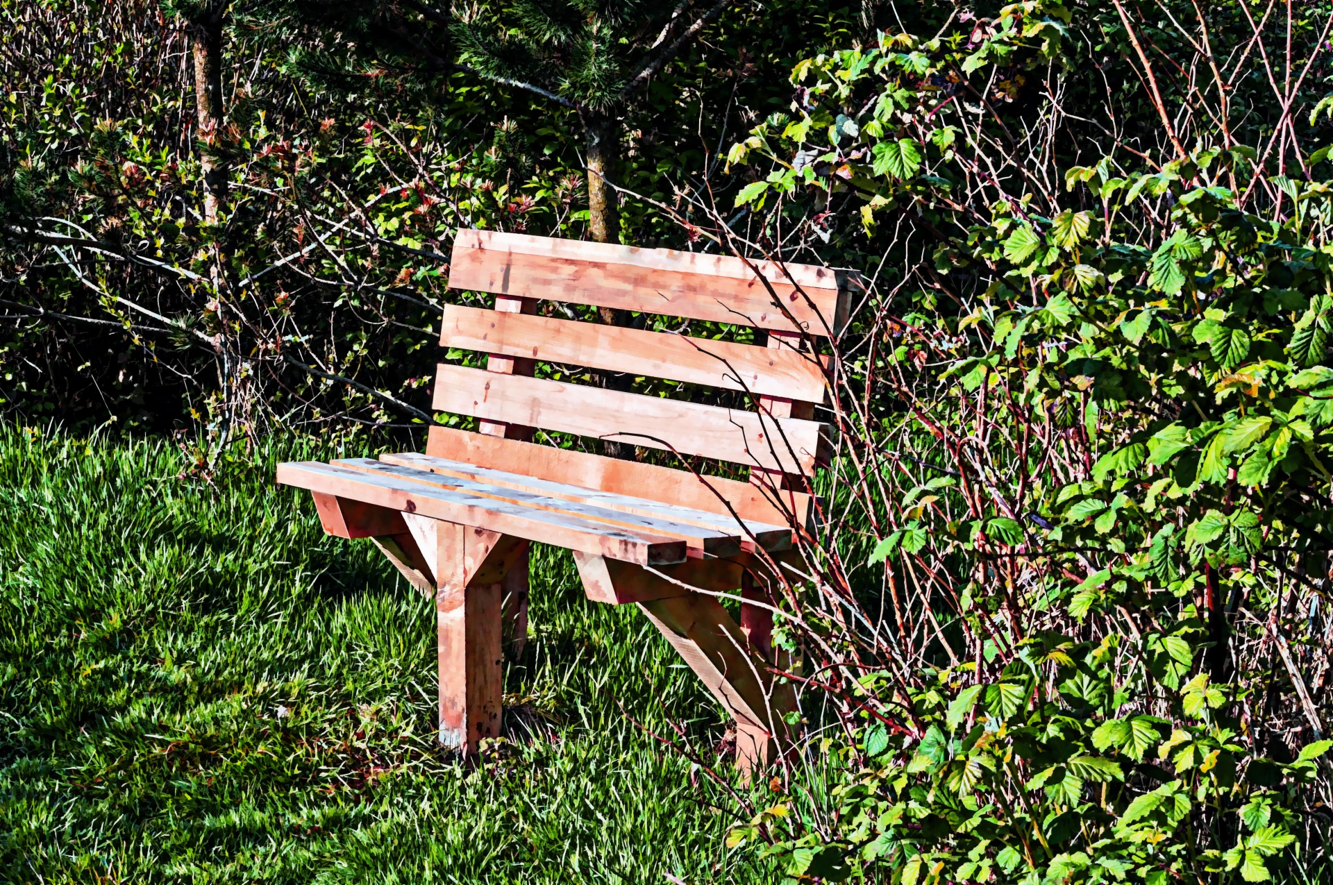 bench sea wooden free photo