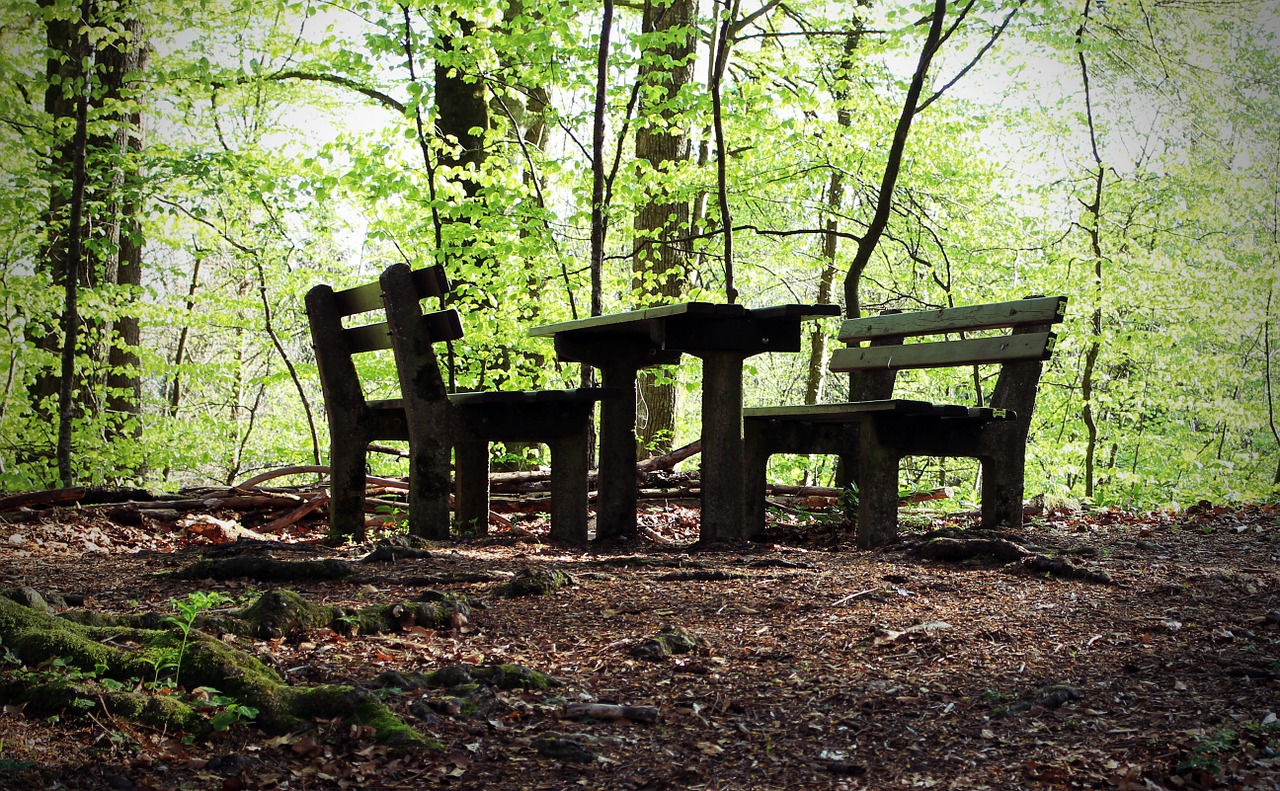 seating arrangement nature resting place free photo