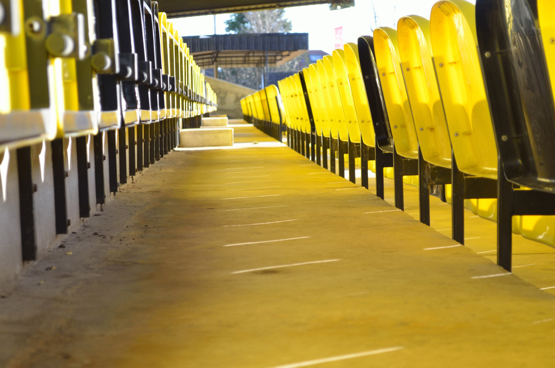 chairs grandstand fans free photo