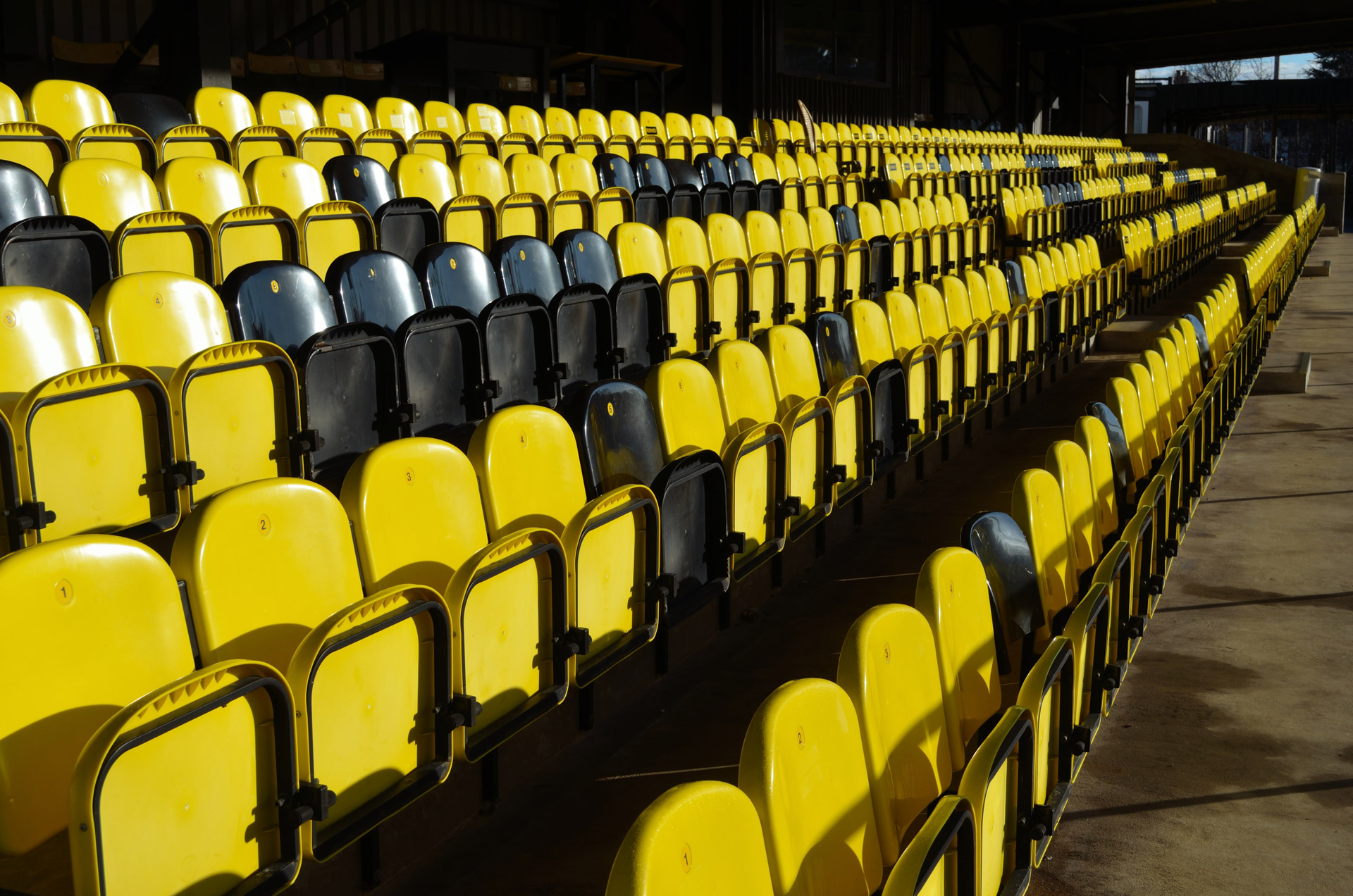 chairs grandstand fans free photo