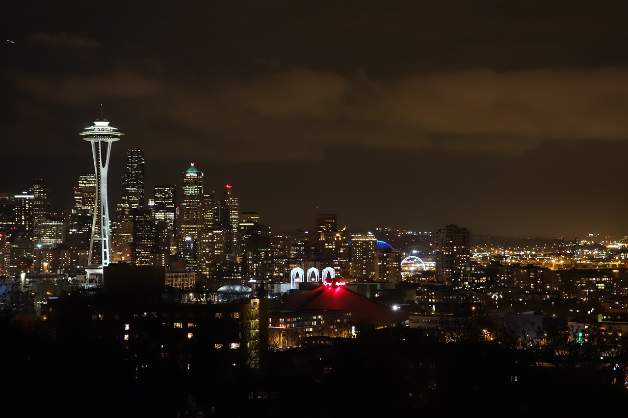 seattle night view the space needle free photo