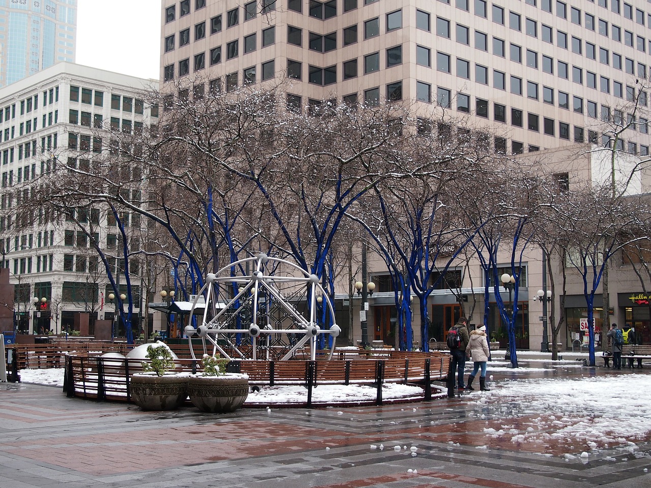 seattle snow westlake free photo