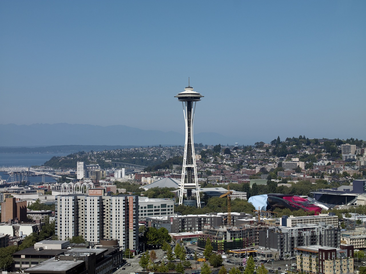 seattle space needle skyline free photo