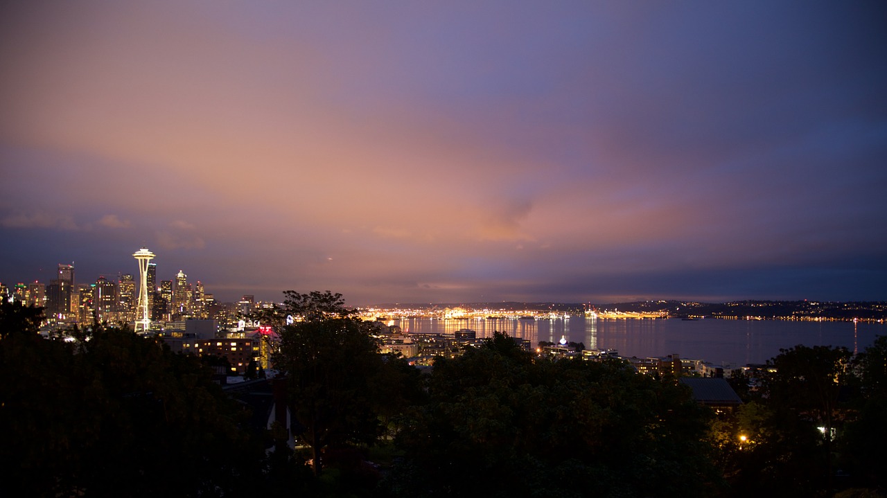 seattle space needle night free photo