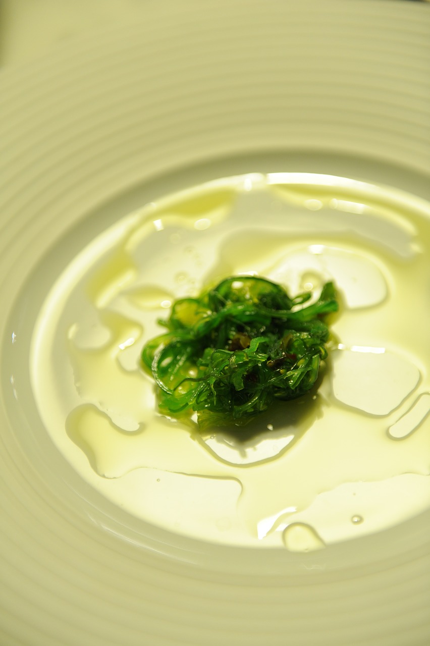 seaweed salad green mirroring free photo