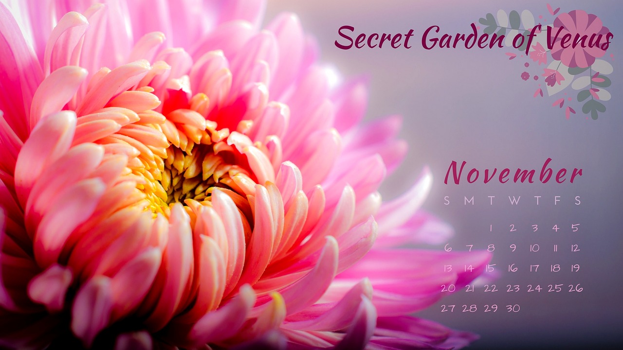 secret garden of venus calendar november free photo