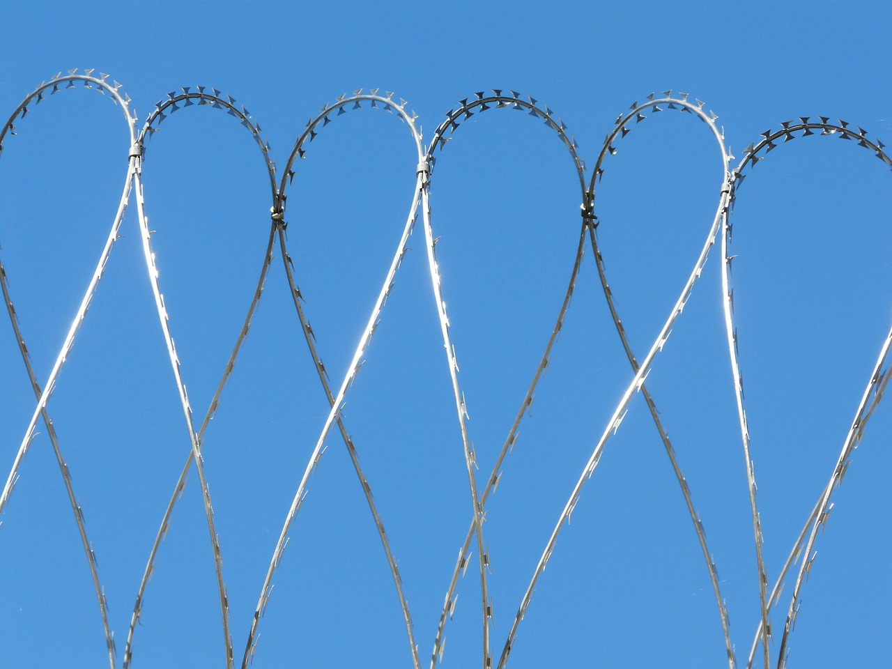 security wire barbed wire free photo
