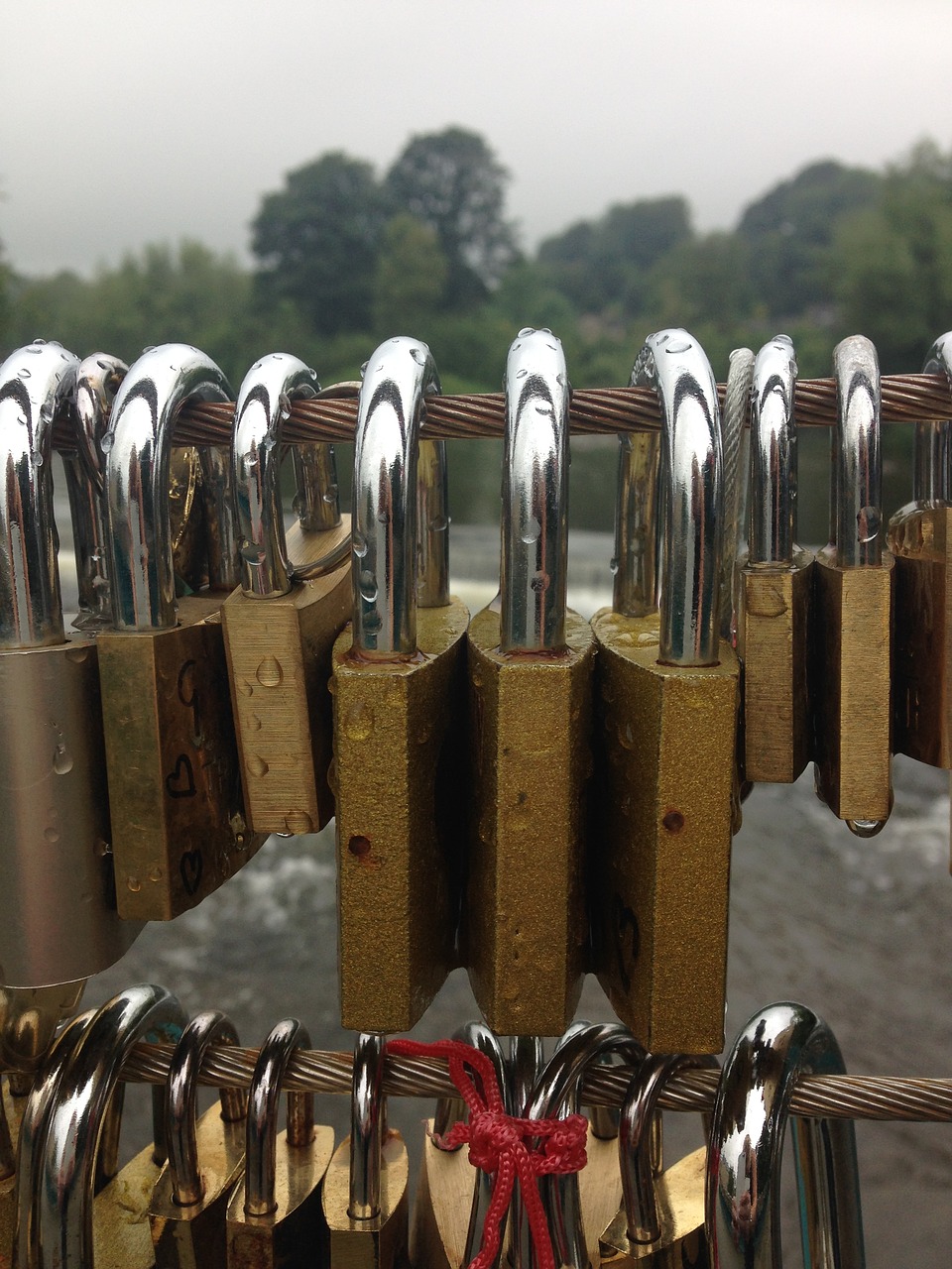 security padlock metal free photo