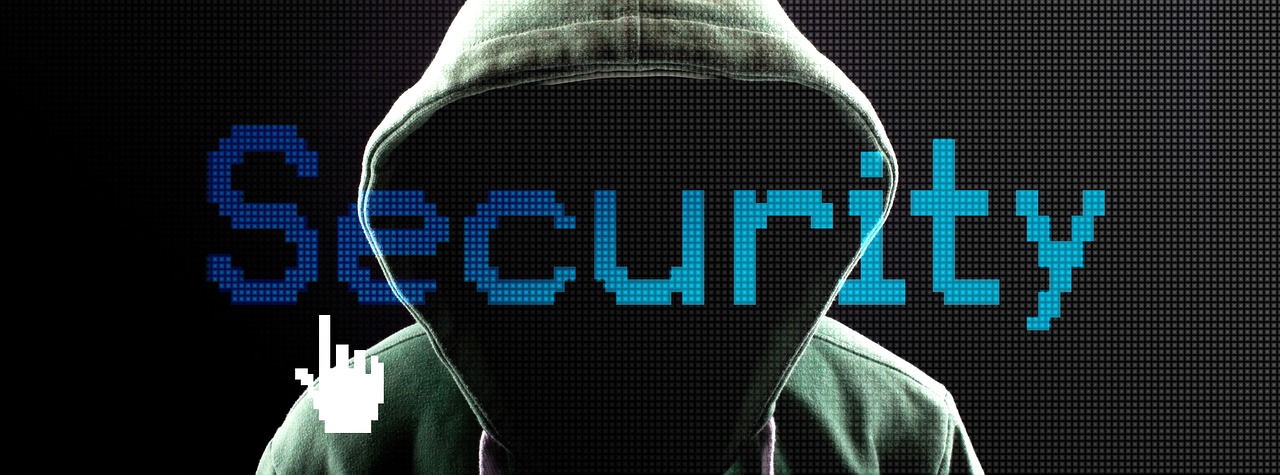 security  hacker  computer free photo