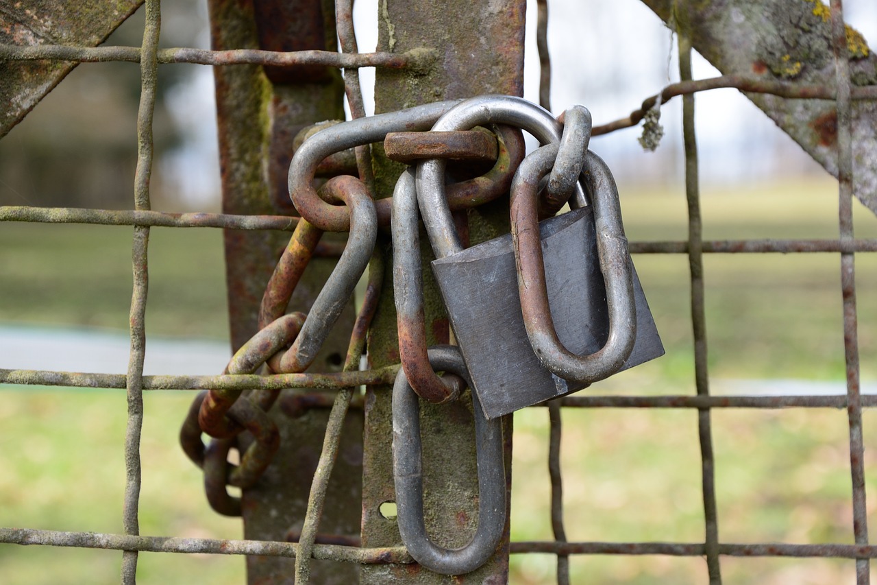 security castle padlock free photo