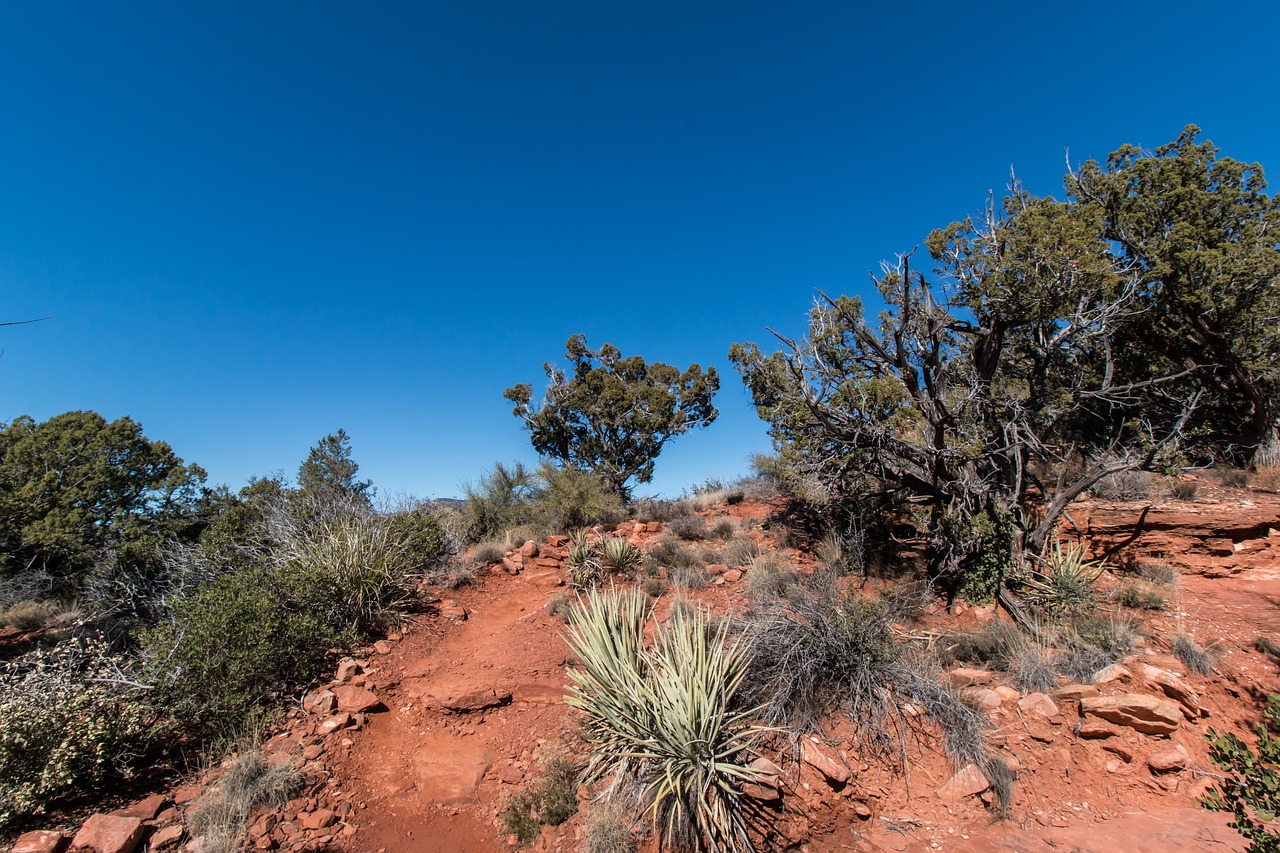 sedona trail desert free photo