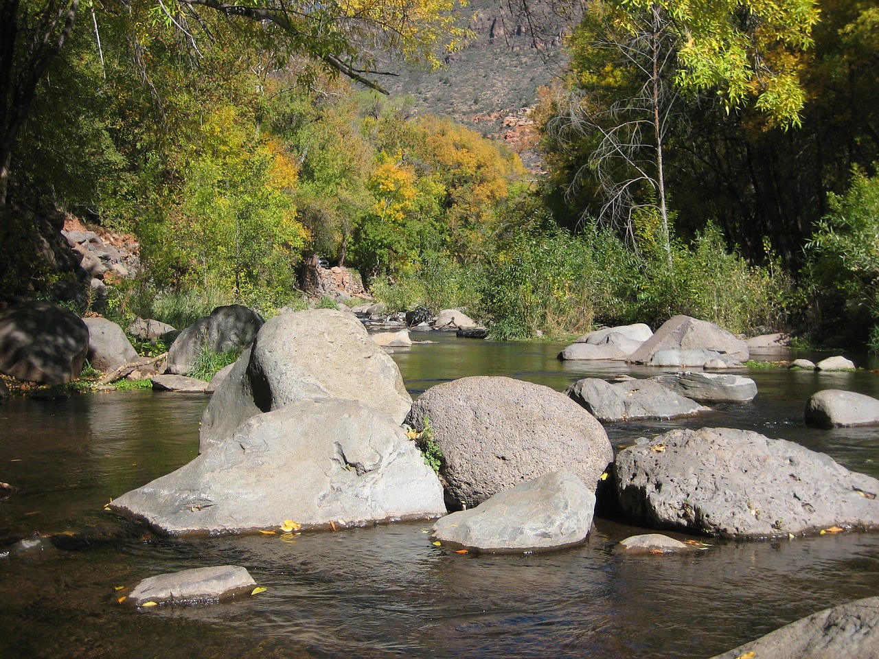 sedona creek oak free photo