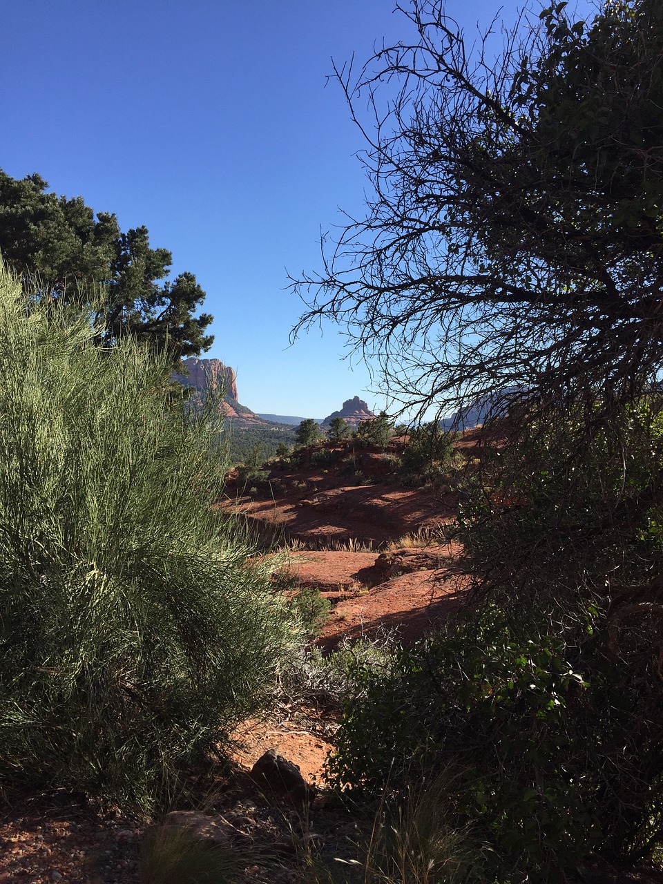 sedona arizona usa free photo