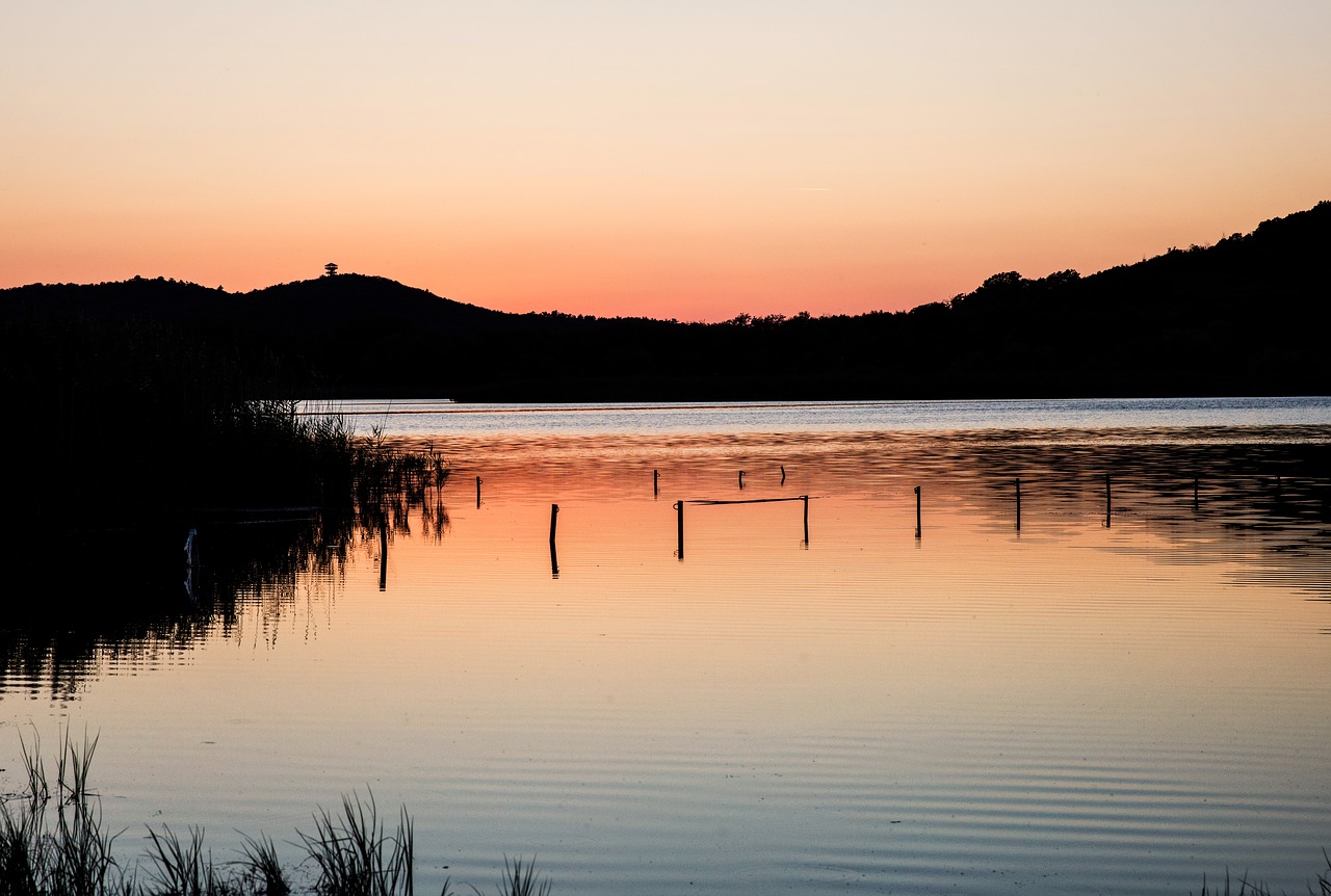 lake nature lake balaton free photo