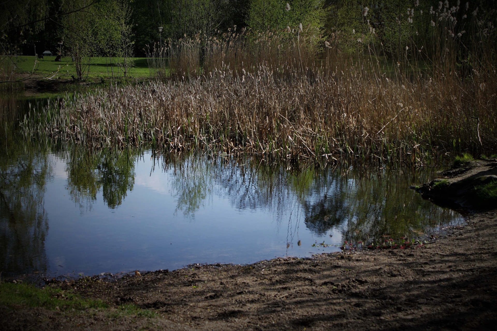 lake water outdoor free photo