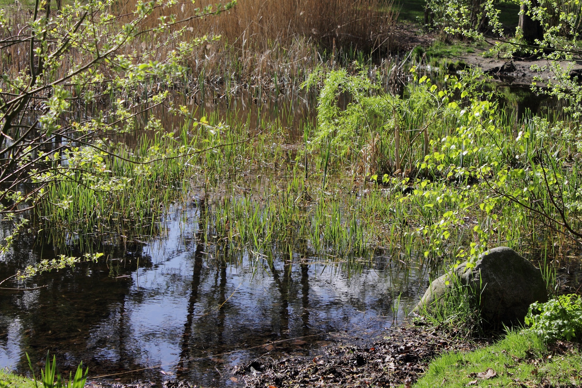 lake water outdoor free photo