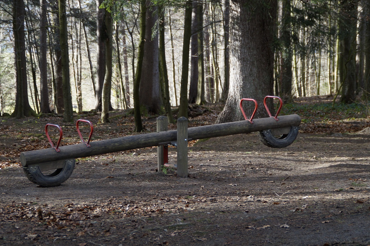 see saw forest playground forest free photo