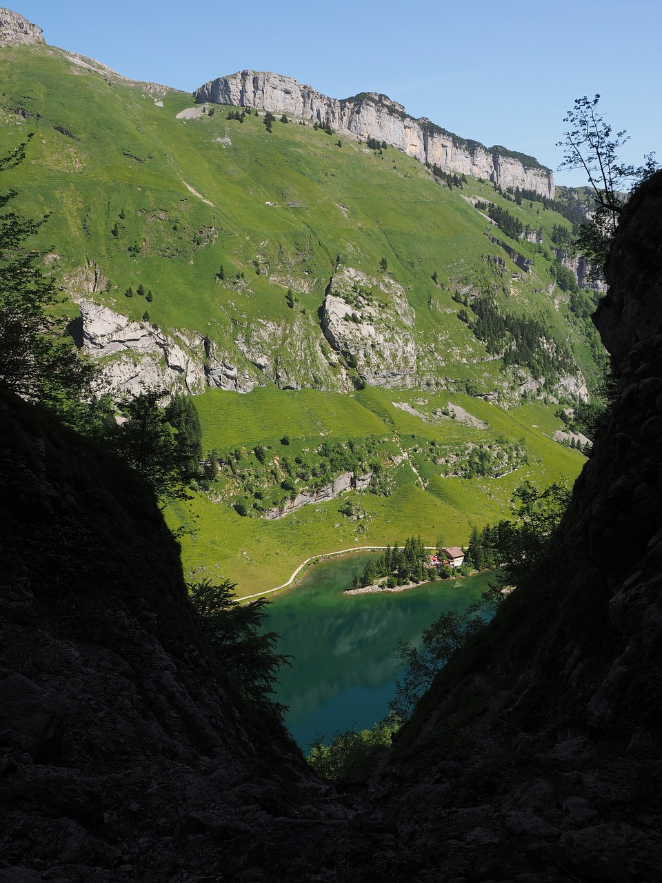 seealpsee lake idyll free photo