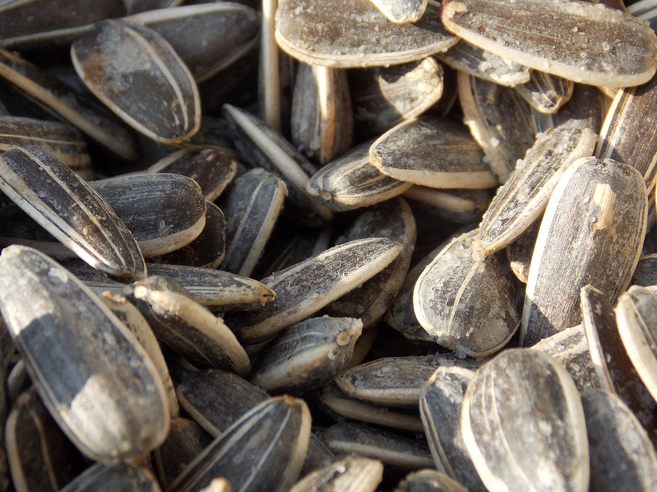 seeds relaxation black free photo