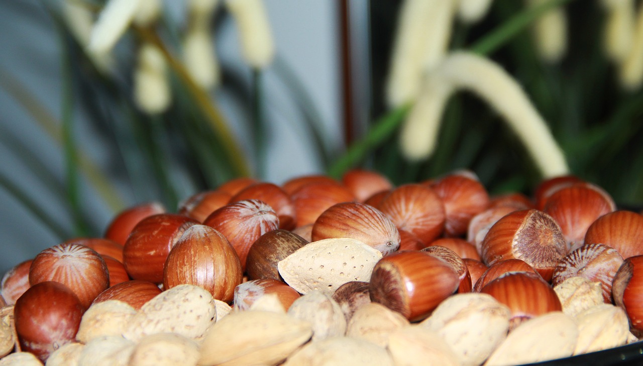 seeds snack baked free photo