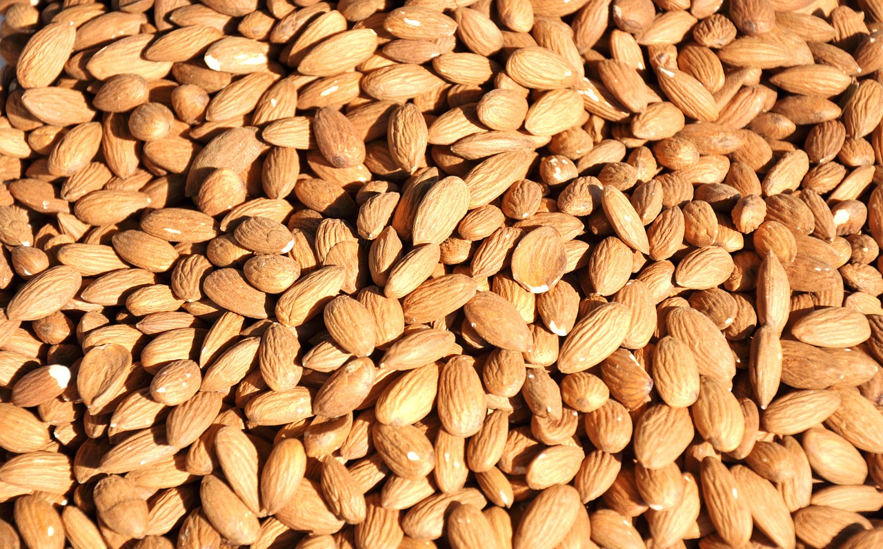 seeds skinless almonds food free photo