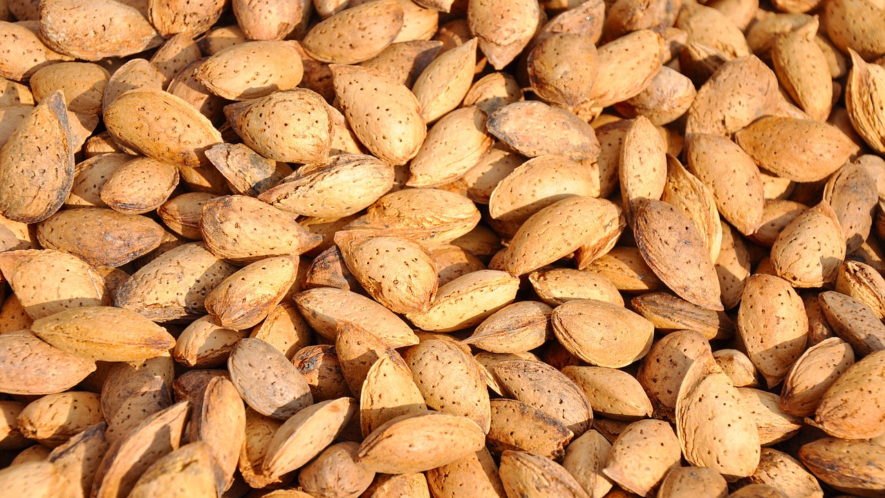 seeds almond food free photo
