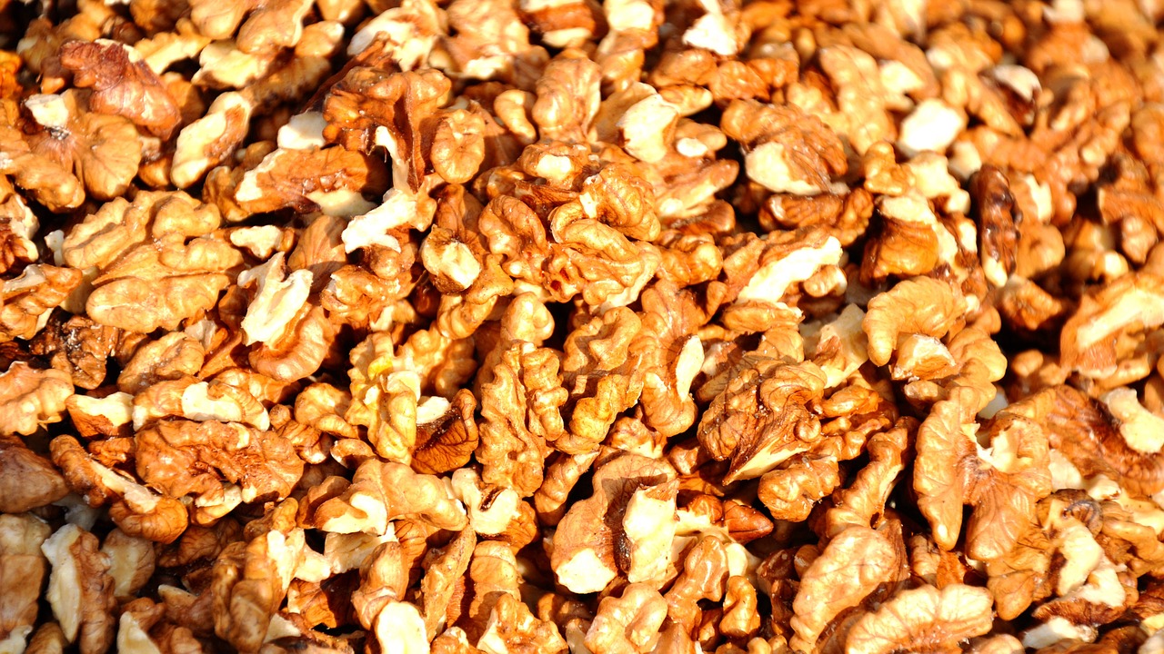 seeds walnut food free photo