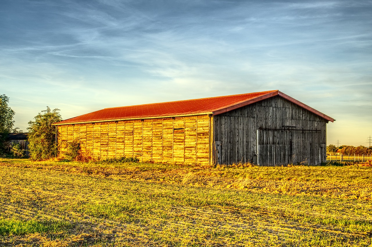 seem  agriculture  sunset free photo