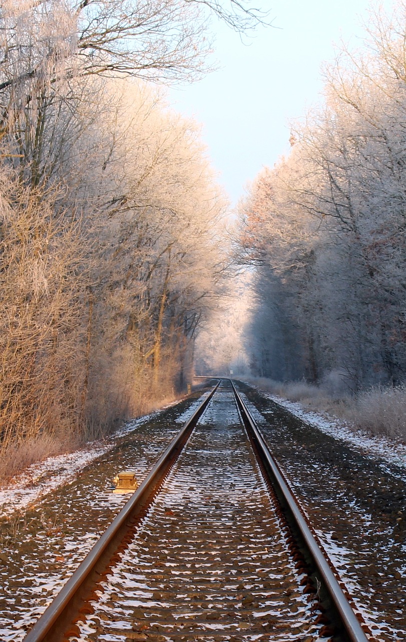 seemed winter frost free photo