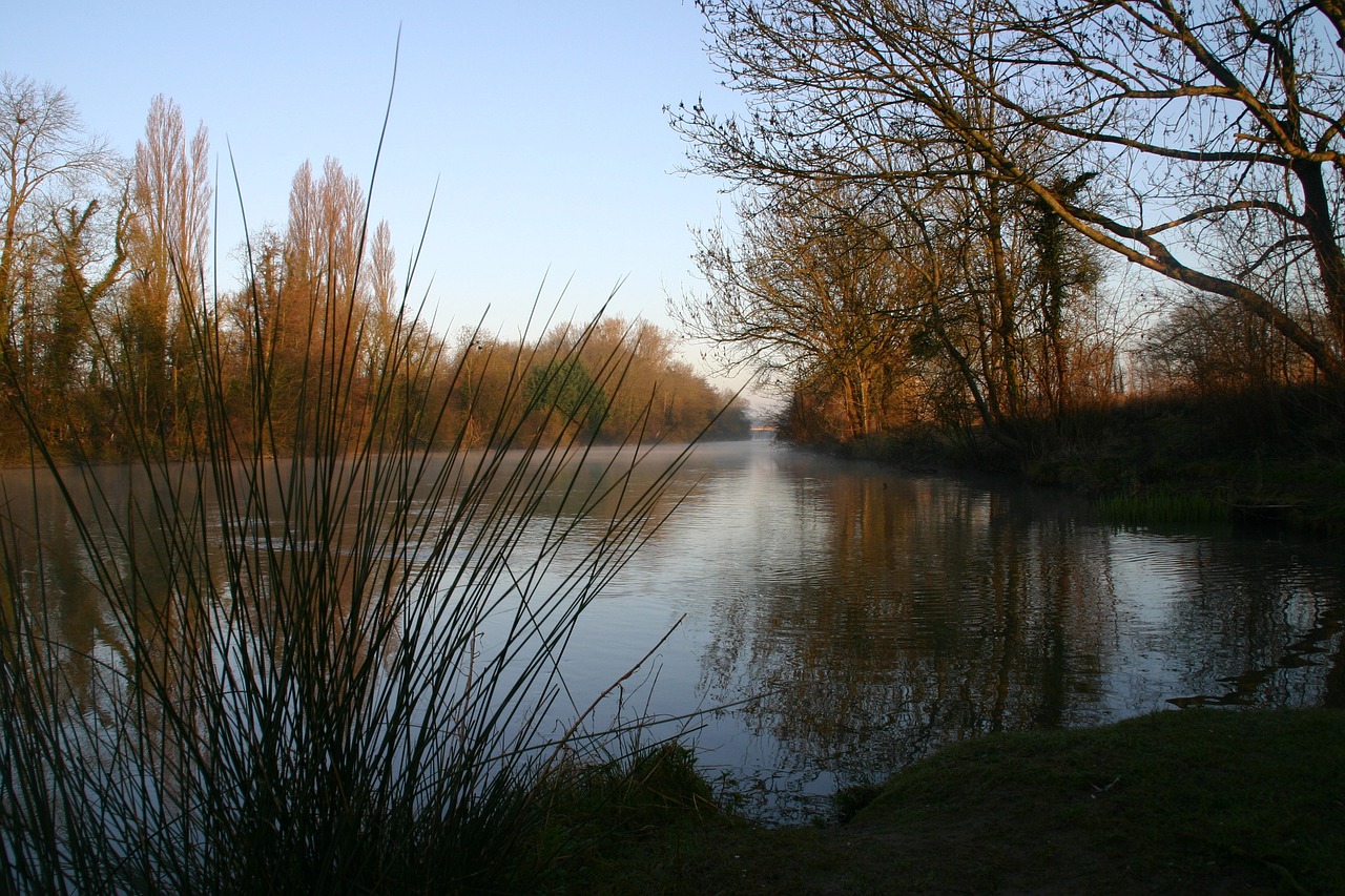 seine river dawn free photo