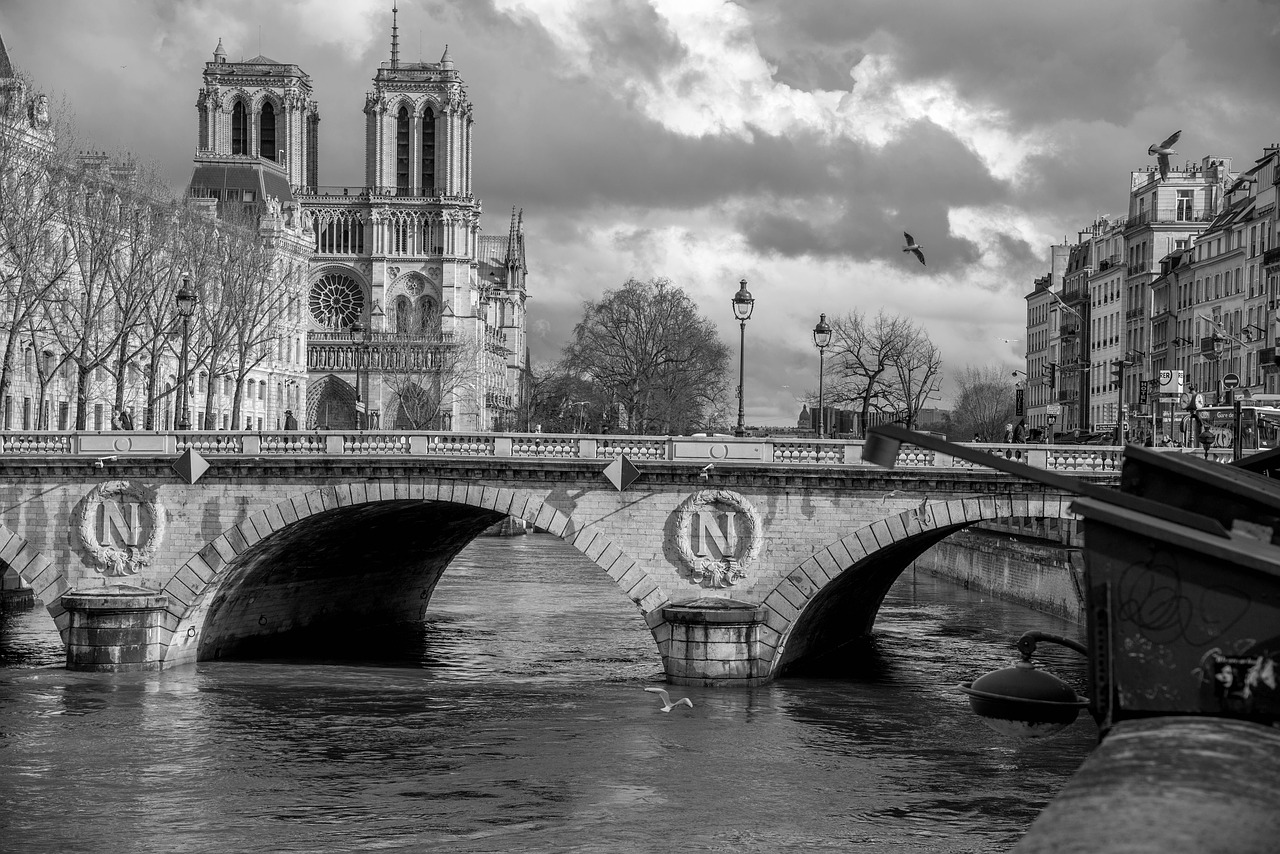seine  paris  cathedral free photo