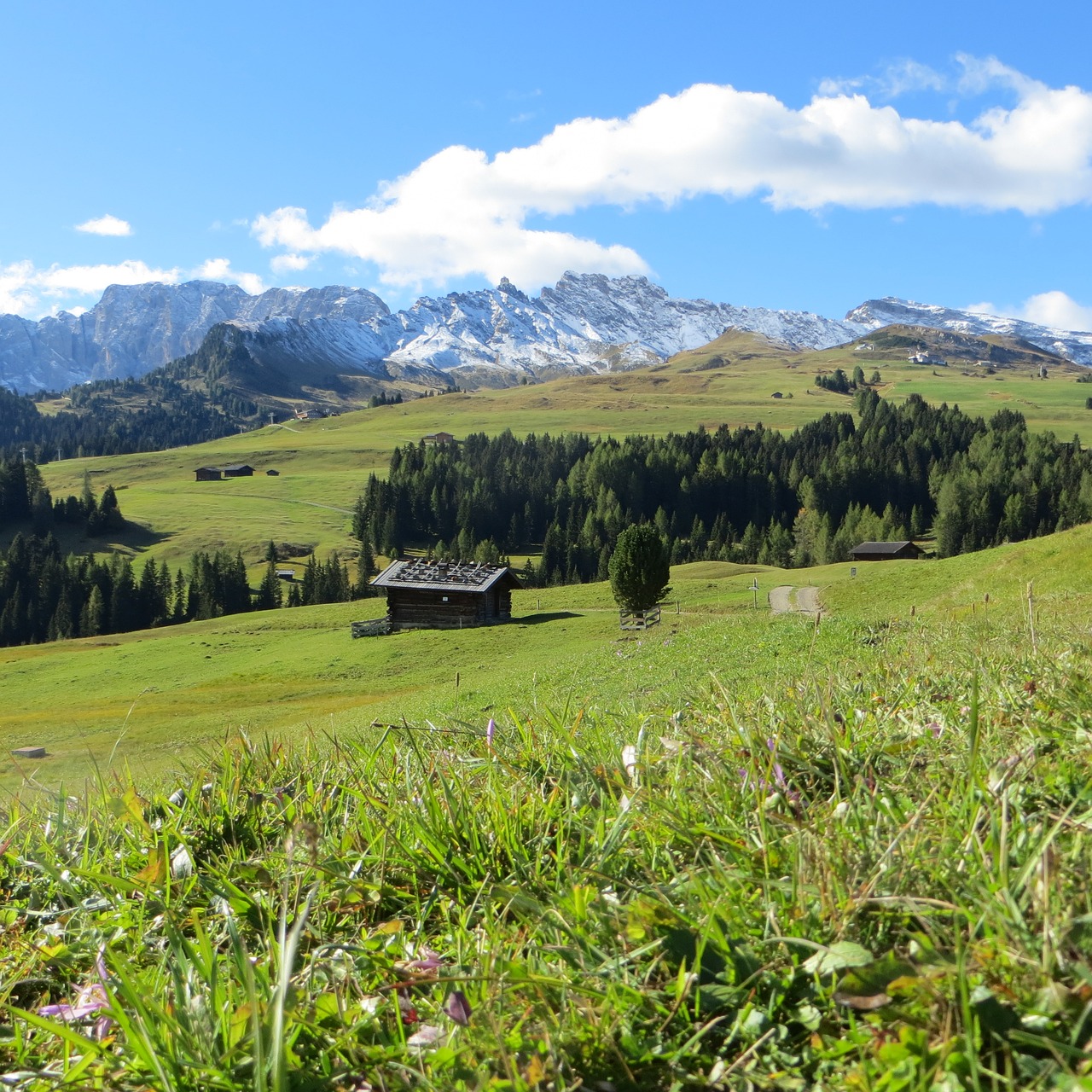 seiser alm south tyrol dolomites free photo