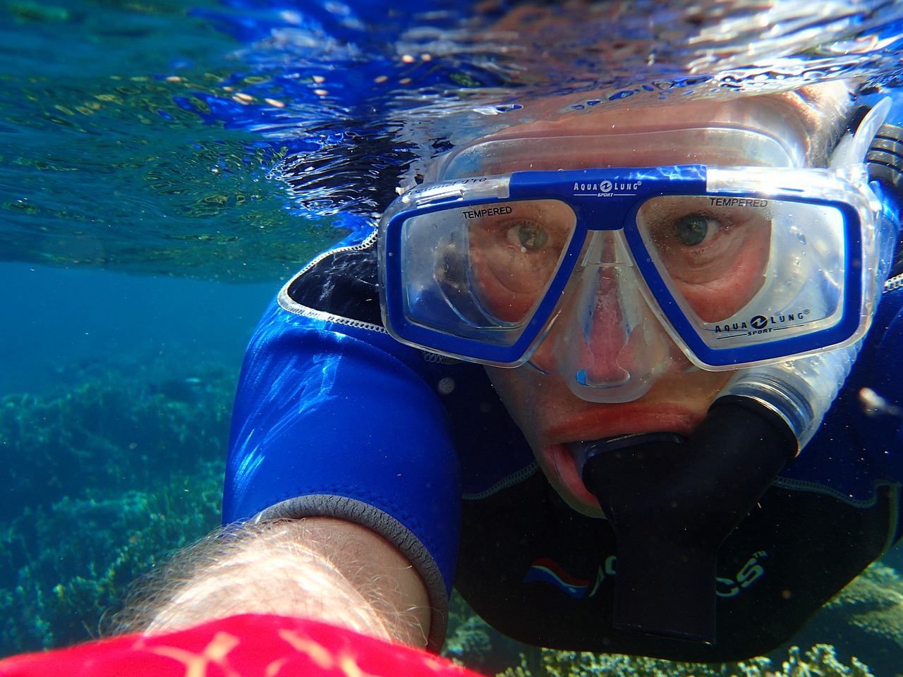 selfie snorkeling diving mask free photo